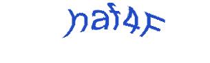 عبارت امنیتی
