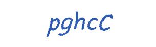 عبارت امنیتی