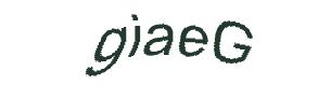 عبارت امنیتی