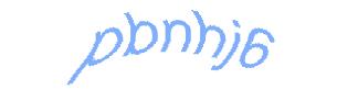 عبارت امنیتی